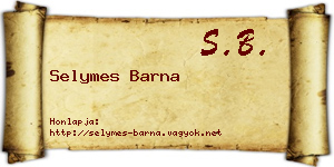 Selymes Barna névjegykártya